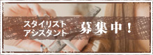 美容室cloud hair（クラウドヘアー）北仙台店・東照宮店ではスタイリスト・アシスタント募集中！